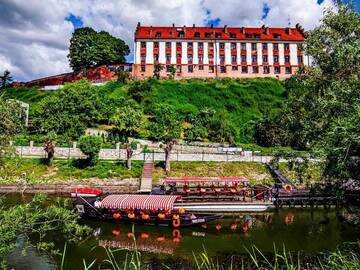 Фото номера Бюджетный двухместный номер с 1 кроватью Отель Hotel Zamek Gniew г. Гнев 2