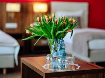 Фото номера Трехместный номер Отель Hotel Zamek Gniew г. Гнев 5